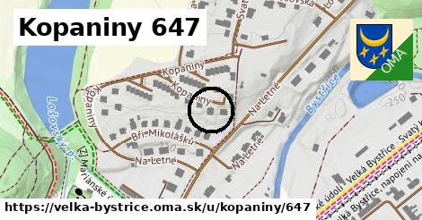 Kopaniny 647, Velká Bystřice
