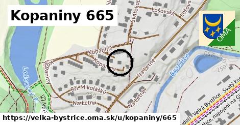 Kopaniny 665, Velká Bystřice