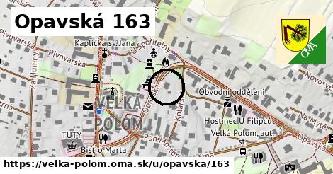 Opavská 163, Velká Polom