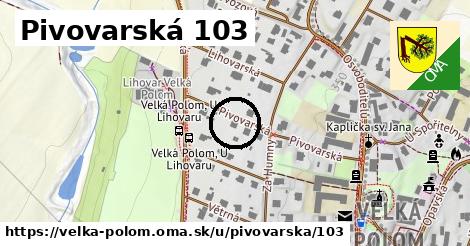 Pivovarská 103, Velká Polom