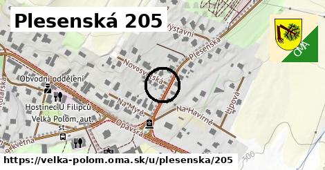 Plesenská 205, Velká Polom