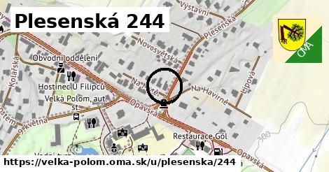 Plesenská 244, Velká Polom