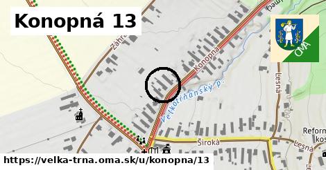 Konopná 13, Veľká Tŕňa