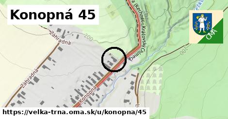 Konopná 45, Veľká Tŕňa