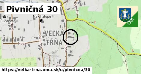 Pivničná 30, Veľká Tŕňa