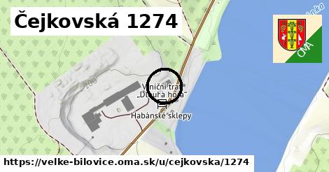 Čejkovská 1274, Velké Bílovice