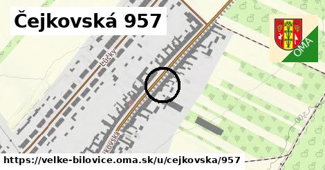 Čejkovská 957, Velké Bílovice