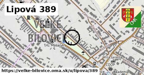 Lipová 389, Velké Bílovice