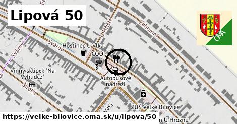 Lipová 50, Velké Bílovice