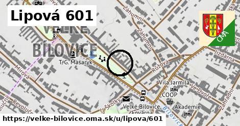 Lipová 601, Velké Bílovice