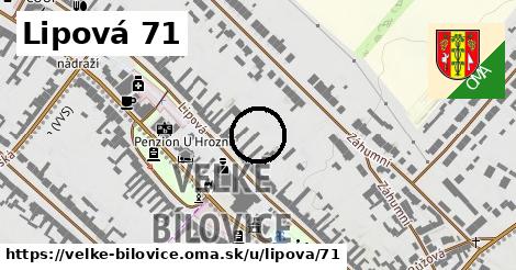 Lipová 71, Velké Bílovice