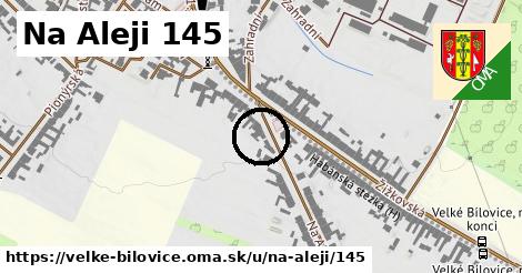 Na Aleji 145, Velké Bílovice