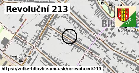 Revoluční 213, Velké Bílovice