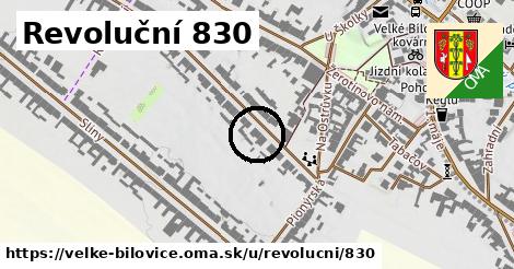 Revoluční 830, Velké Bílovice