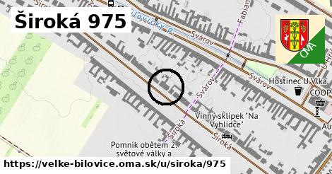 Široká 975, Velké Bílovice