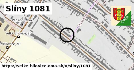 Slíny 1081, Velké Bílovice