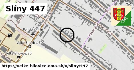 Slíny 447, Velké Bílovice