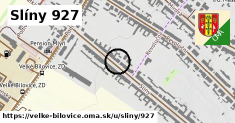 Slíny 927, Velké Bílovice