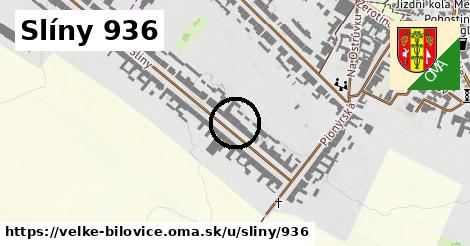 Slíny 936, Velké Bílovice