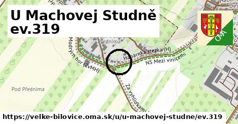 U Machovej Studně ev.319, Velké Bílovice