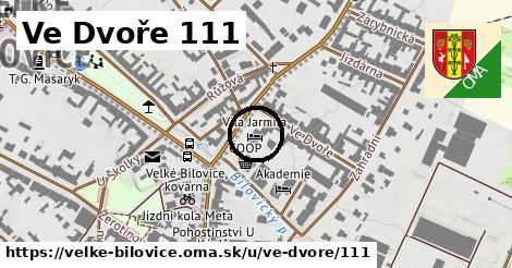 Ve Dvoře 111, Velké Bílovice