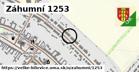 Záhumní 1253, Velké Bílovice