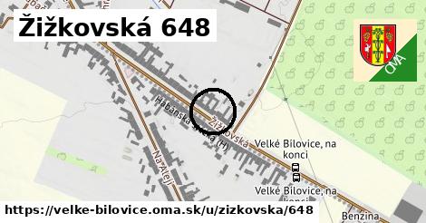 Žižkovská 648, Velké Bílovice