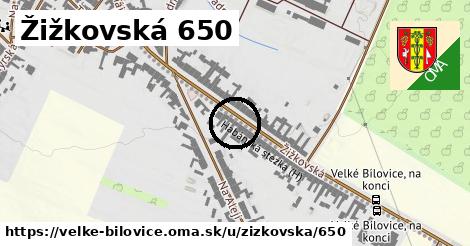 Žižkovská 650, Velké Bílovice