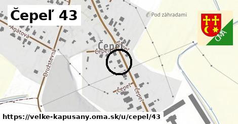 Čepeľ 43, Veľké Kapušany