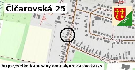Čičarovská 25, Veľké Kapušany