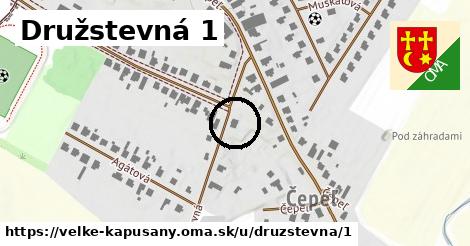 Družstevná 1, Veľké Kapušany