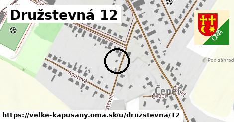 Družstevná 12, Veľké Kapušany