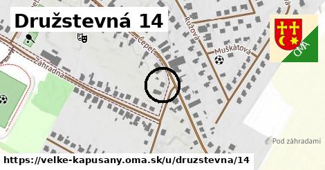 Družstevná 14, Veľké Kapušany