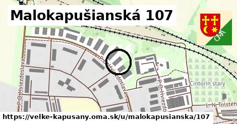 Malokapušianská 107, Veľké Kapušany