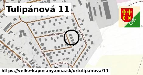 Tulipánová 11, Veľké Kapušany