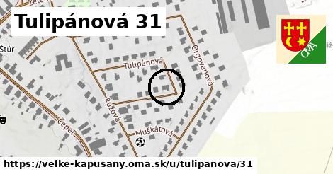 Tulipánová 31, Veľké Kapušany