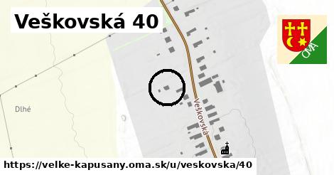 Veškovská 40, Veľké Kapušany