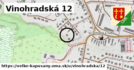 Vinohradská 12, Veľké Kapušany