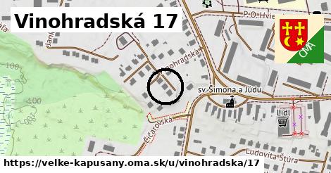 Vinohradská 17, Veľké Kapušany