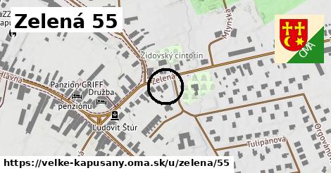 Zelená 55, Veľké Kapušany