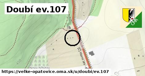 Doubí ev.107, Velké Opatovice