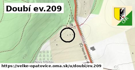 Doubí ev.209, Velké Opatovice