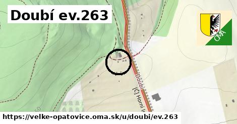 Doubí ev.263, Velké Opatovice