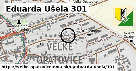 Eduarda Ušela 301, Velké Opatovice