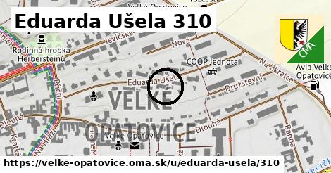 Eduarda Ušela 310, Velké Opatovice