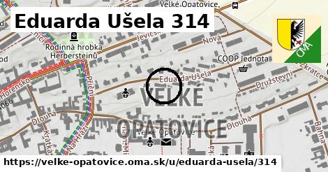 Eduarda Ušela 314, Velké Opatovice