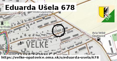 Eduarda Ušela 678, Velké Opatovice