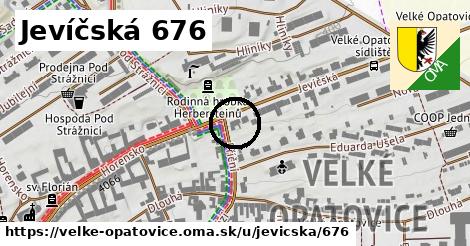 Jevíčská 676, Velké Opatovice