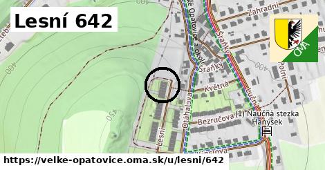 Lesní 642, Velké Opatovice