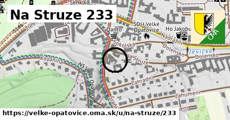 Na Struze 233, Velké Opatovice